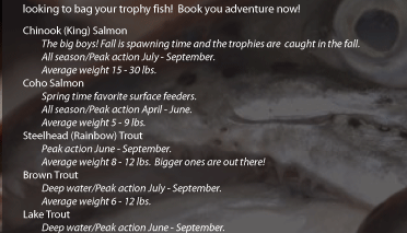 Perfect for corporate outings, employee incentives, bachelor and bachelorette parties, or just a great day on the water looking to bag your trophy fish! Book your adventure now to start catching Chinook King Salmon, Coho Salmon, Steelhead Rainbow trout, Brown trout, lake trout, Perch, and Small mouth Bass